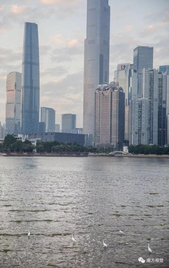 Xcellent International Serviced Apartment Guangzhou Eksteriør billede